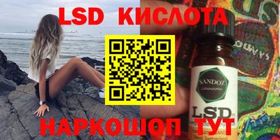 гашик Сланцы