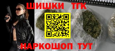 гашик Сланцы