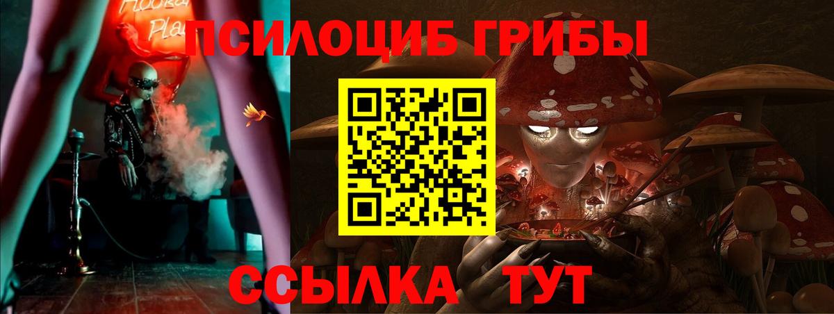 Галлюциногенные грибы Magic Shrooms  Вход с VPN  Галлюциногенные грибы Magic Shrooms  Орск 